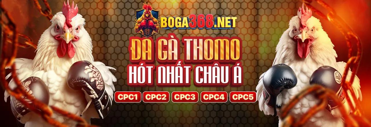 VN188 Link Vào Chính Thức 2026 An Toàn và Uy Tín
