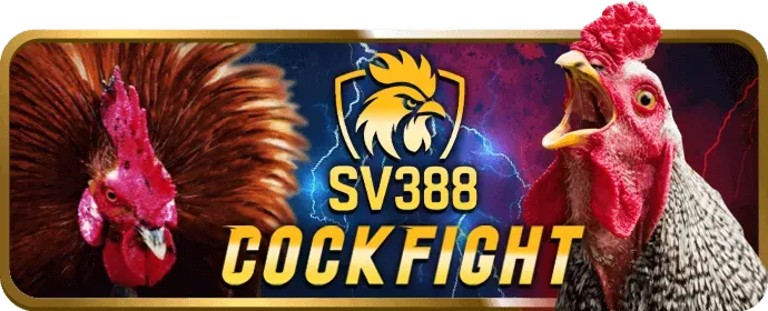 Đội ngũ chuyên nghiệp của vn188 liên kết truy cập
